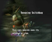 Reel10 Swooping Snitchbug