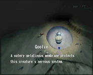 Reel11 Goolix
