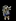 Wc3Knight.gif