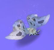 White moth