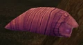 Temporal Parasite.jpg