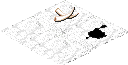 T.arctic.png