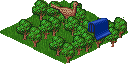 T.forest.png