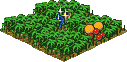 T.jungle.png