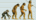 B.darwins voyage.classic.png