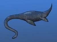 Plesiosaur-illustration