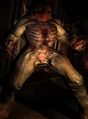 Doom3-berserker-hunter.jpg