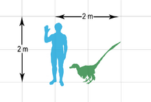 Vraptor-scale