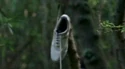Chaussures BlancheMiniPortal.JPG