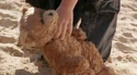 Teddy Bear.jpg