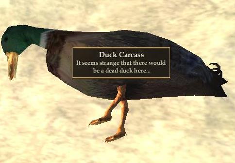 duck carcass