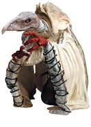 DCbust.skektek