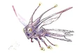 Floater-woswfg.jpg