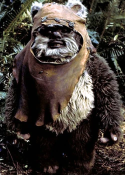 Wicket.jpg