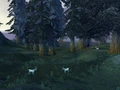 Moongraze Woods.jpg