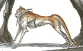 Greysor2-woswfg.jpg