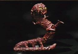 Klorslug.jpg