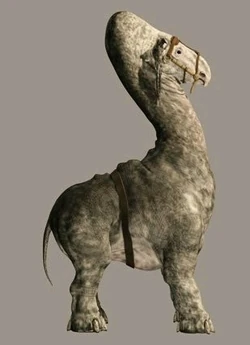 Ronto.jpg
