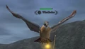 Windfeather.jpg
