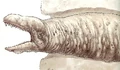 SpaceSlug-woswfg.jpg