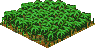 Jungle.png