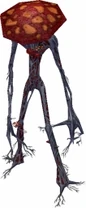 DevEarth Deathcap