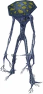 DevEarth Fungoid