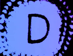 1706c