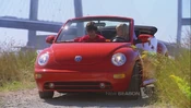 Chloebeetle.jpg