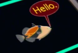 Humuhumunukunukuapuaa