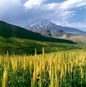 Damavand3