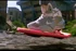 Hoverboard