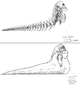 CA 17931794.png
