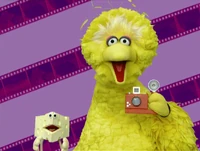 Ewcameras-bigbird.jpg