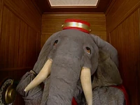 Ewupdown-elephant