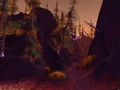 Amberweb Pass.jpg