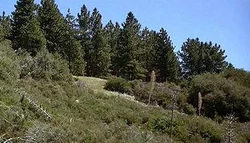 Montana2063