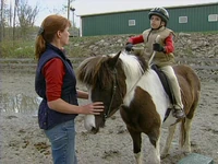 Ewhorse-film.jpg