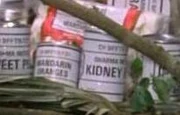 Dharma Kidney Beans.JPG