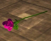 Single Pink Rose (Visible).jpg