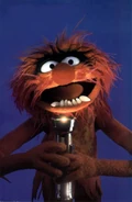 Animalflashlight