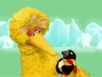 Ewpenguins-bigbird