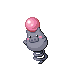 Spoink DP