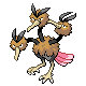 Dodrio DP
