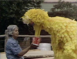 Chickenfeed