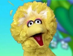 Bigbird-j2e