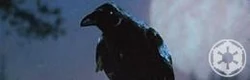 Charal raven.jpg