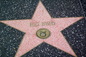 Bigbirdstar