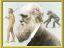 B.darwins voyage.png