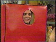 Cushion